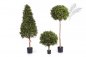 Preview: BOXWOOD BALL 50 cm 44550N